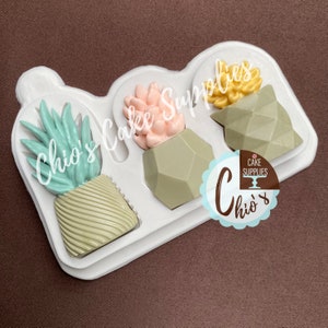 May include: A white silicone mold with three geometric succulent plant designs. The mold is for making cake decorations or other edible treats.