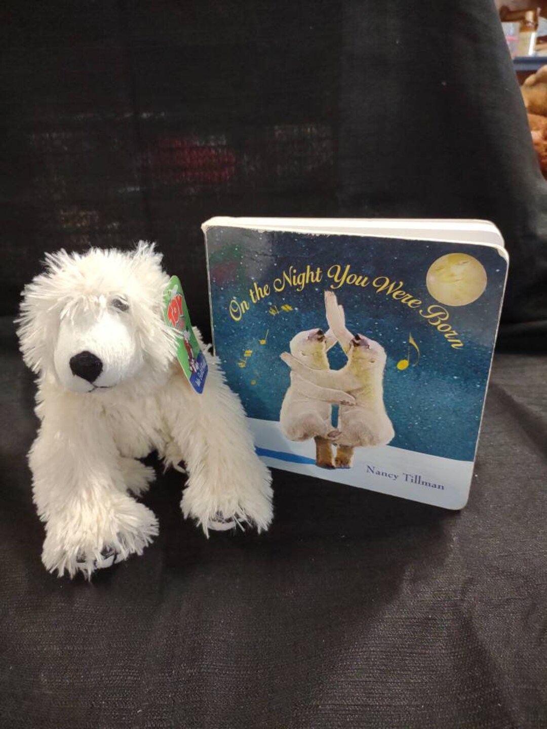 On the Night You We're Born Story Book and Plush Set Nancy Tillman Etsy