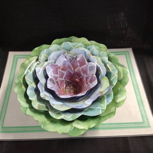 nicole miller melamine plates