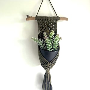May include: An olive green macrame plant hanger with a small black pot holding faux succulents. The hanger is suspended from a wooden dowel and features a decorative knot pattern and a tassel at the bottom.