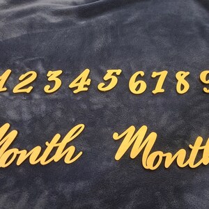 Baby Milestone Photo Prop, Baby Name, Months 1 through 12