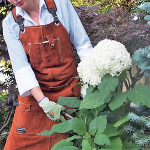 May include: A brown leather gardening apron with multiple pockets and adjustable straps. The apron is worn over a striped shirt. The person is holding gardening shears and tending to a white hydrangea bush in a garden setting.