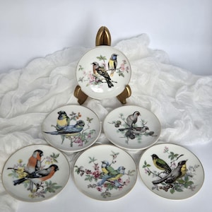 VOGELS! Set van 6 vintage vogelbordjes – minivogelbordjes met gouden rand | Voorgeboord om op te hangen | Vogelonderzetters | Gemaakt in Japan