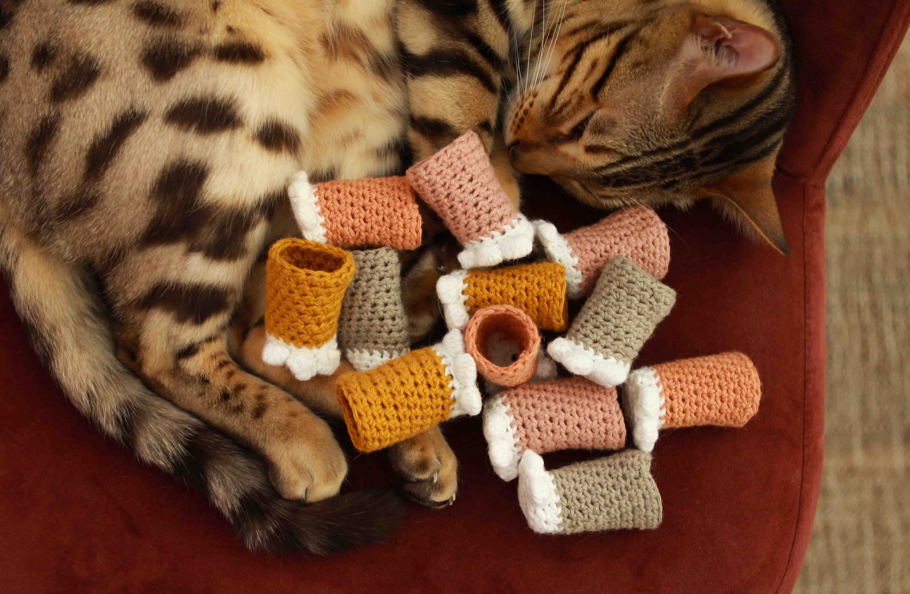 Chaussettes de chaise à pattes de chat, 24 pièces, protection de