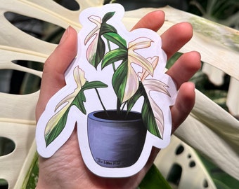 Philodendron Florida Beauty Stickers - Variegated Plant Stickers - Water Resistant Durable Vinyl Glossy Plant Stickers - Plant Lover Gift