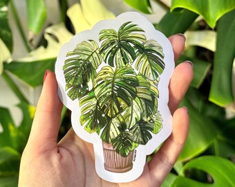 Monstera Albo Stickers - Variegated Monstera - Water Resistant Durable Vinyl Glossy Plant Stickers - Plant Lover Gift