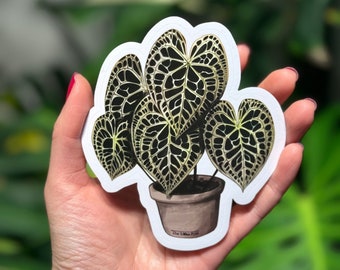 Anthurium Stickers - Anthurium Clarinervium - Water Resistant Durable Vinyl Glossy Plant Stickers - Plant Lover Gift