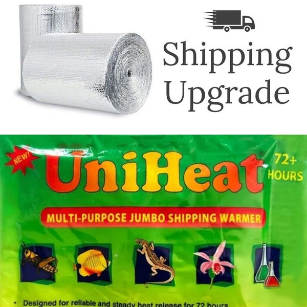 HEAT PACK + Priority Shipping + Insulation Packaging - Winter Shipping Package