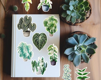 Plant Stickers - Monstera Stickers - Anthurium Stickers - Water Resistant Durable Vinyl Glossy Plant Stickers - Plant Lover Gift