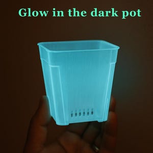 May include: A glowing, square, light blue plant pot with drainage holes. The text "Glow in the dark pot" and "charge through sunlight or grow light" are visible. The pot is held in a hand.