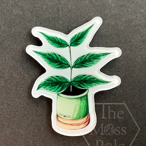 Hoya Polyneura Albomarginata Plant Magnet | Plant Lover Gift | Plant Kitchen Decor | Office Plant Decor Plants Refrigerator Magnets
