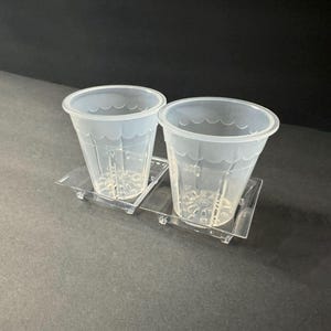 May include: Two clear plastic cups with a decorative pattern sit on a clear plastic tray. The cups have a drainage hole at the bottom.