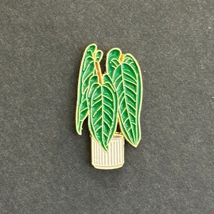 May include: Gold enamel pin featuring a green potted plant with large leaves. The plant is in a white pot with gold accents.