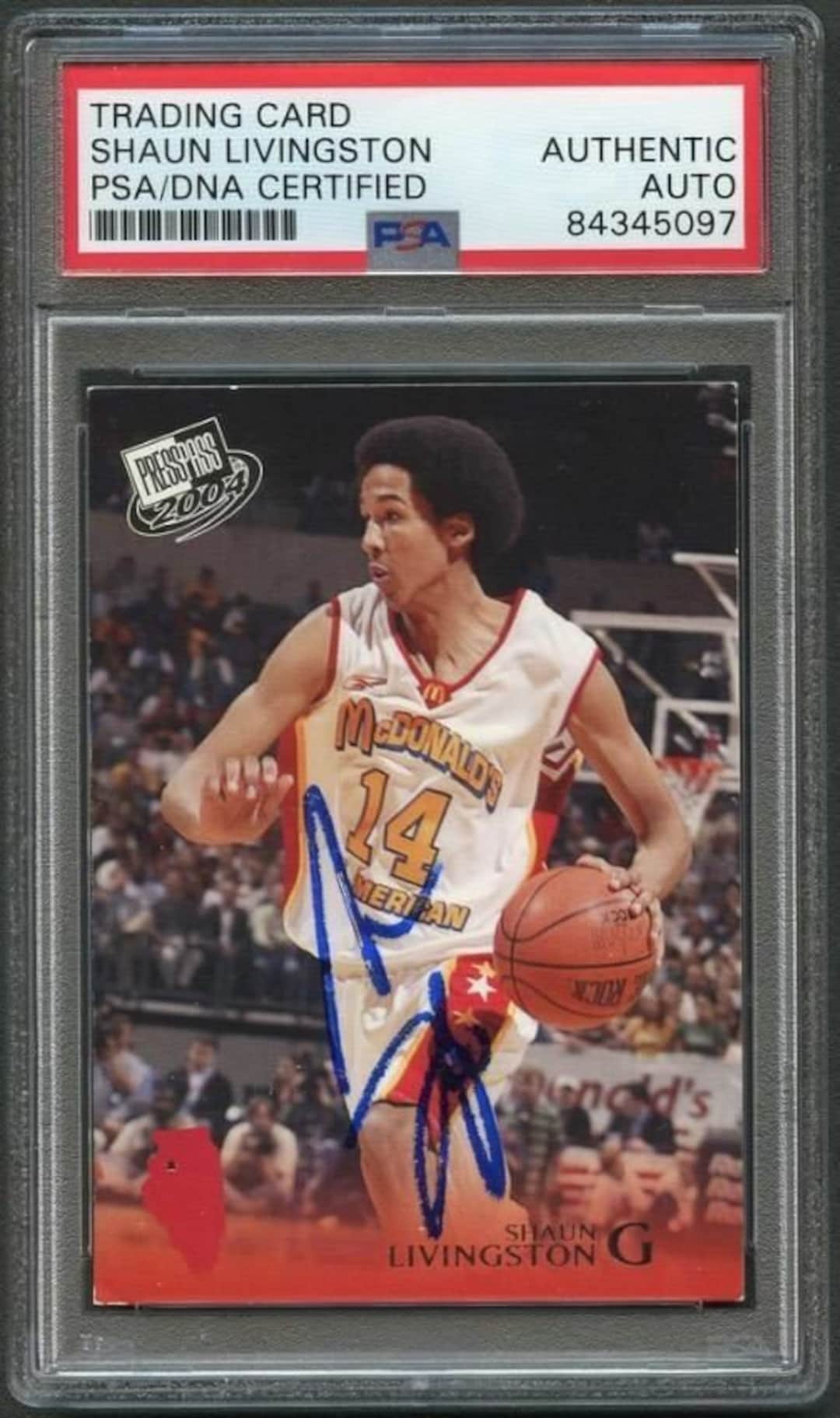 Shaun Livingston Clippers Signed 8 x 10