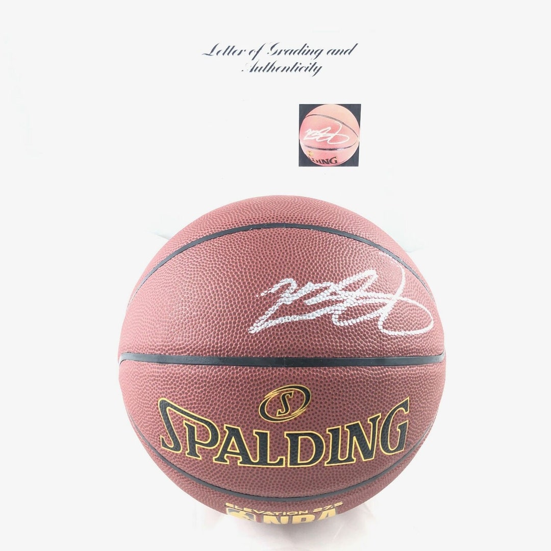 signed lebron basketball