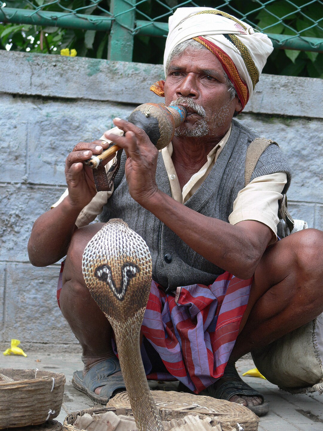 Snake Charmer and Cobra India - Etsy