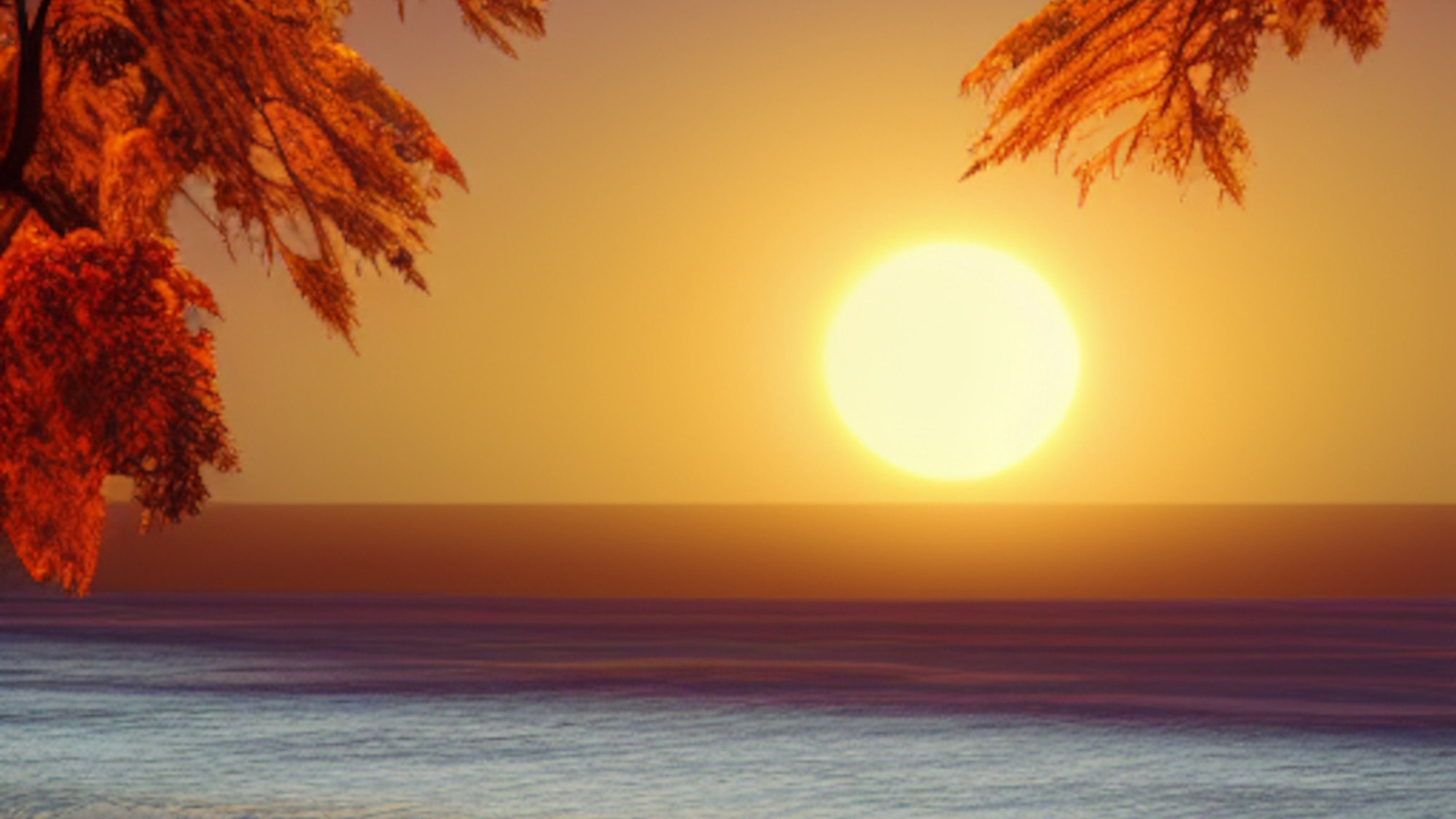 8 Fall Beach Picture Backgrounds for Zoom, Skype, Google Meet ...