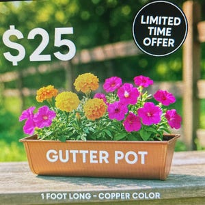 May include: A copper-colored gutter pot filled with vibrant yellow and pink flowers. The pot is 1 foot long and has the words "Gutter Pot" printed on the front. A "Limited Time Offer" badge is in the background.
