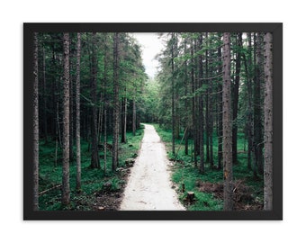 Forest Trail - Italy (framed)