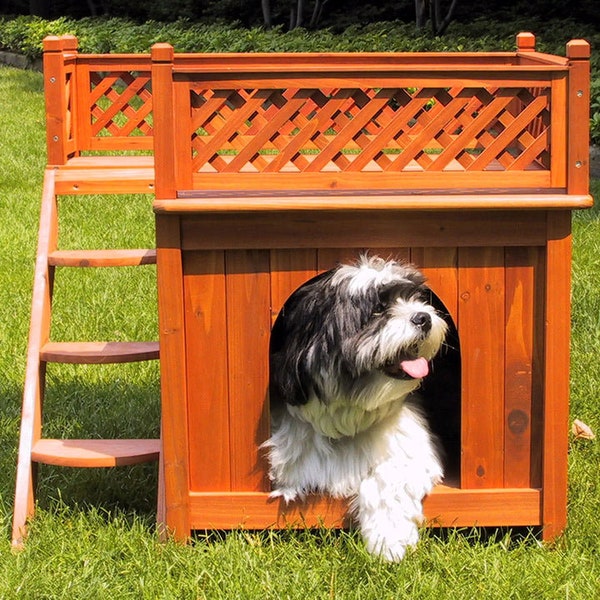 Indoor Dog House Etsy