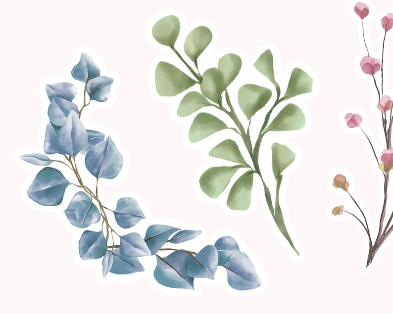 Pode incluir: Tr&ecirc;s ilustra&ccedil;&otilde;es de aquarela de diferentes tipos de folhagem. A primeira &eacute; um ramo de folhas verde-azuladas, a segunda &eacute; um ramo de folhas verdes e a terceira &eacute; um ramo de flores cor-de-rosa.