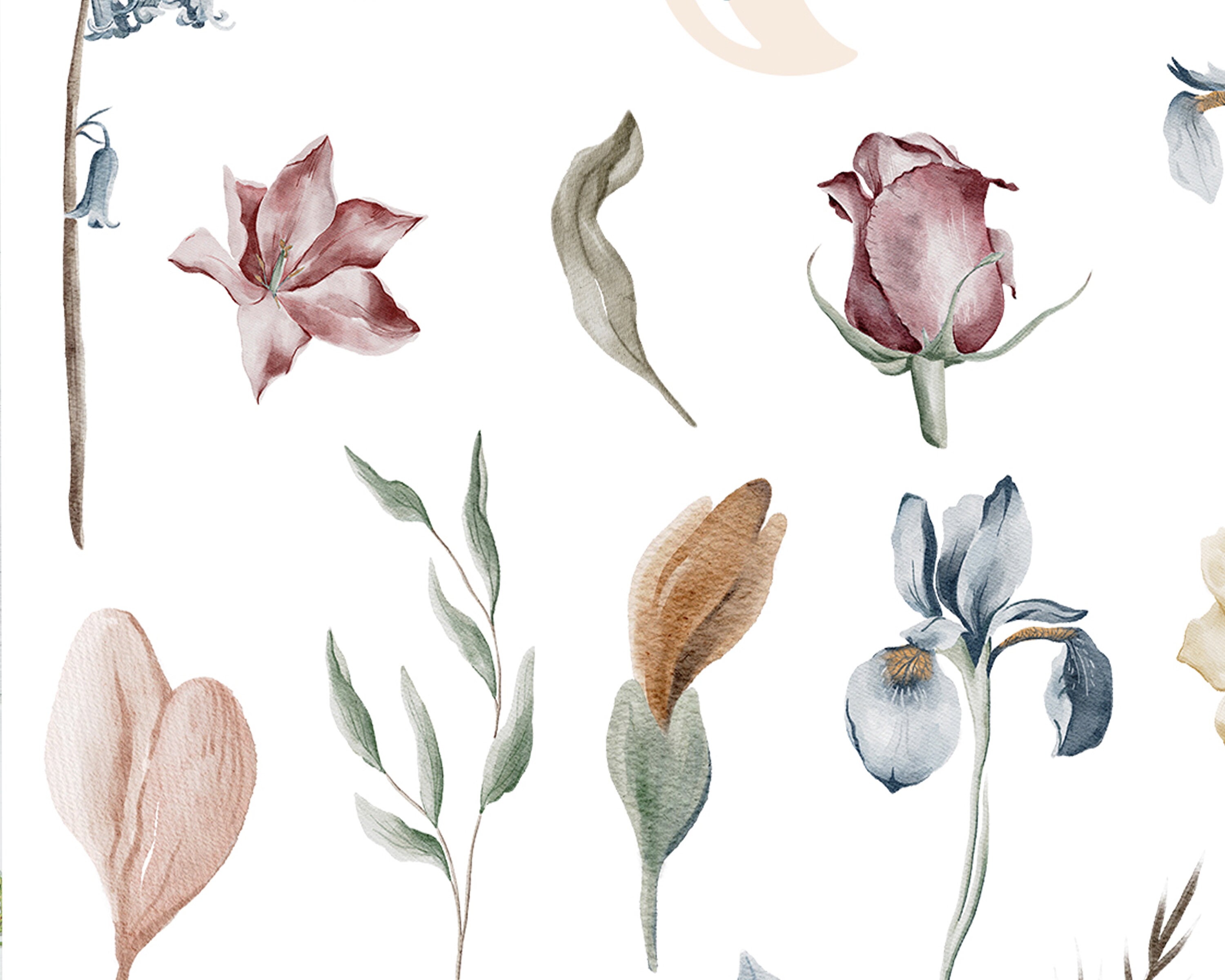 Frozen Flowers Stickers Sheet | Bujo Stickers, Spring Bullet Journaling ...