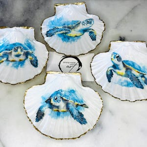 May include: Four white seashells with gold trim, each painted with a blue and green sea turtle. The shells are arranged in a semi-circle on a white surface.