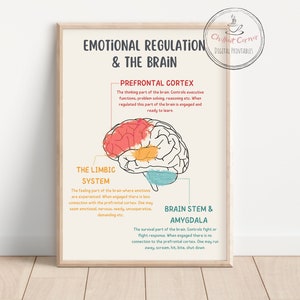 REGOLAZIONE EMOTIVA E IL CERVELLO, Poster stampabile, Anatomia e psicologia del cervello, studio di terapia, arredamento del terapeuta, salute mentale