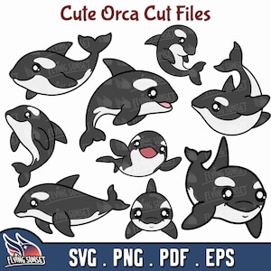 Cute Orca SVG, Baby Killer Whale Clipart Bundle, Layered Orca Cut Files, Digital Sticker Download, Printable PNG, pdf eps