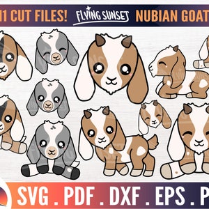 Chèvre nubienne mignon SVG, bébé chèvre Clipart, Kawaii Boer Bundle, pygmée ferme Animal PNG, bouc de montagne, ram autocollant sticker, Cricut, troupeau DXF