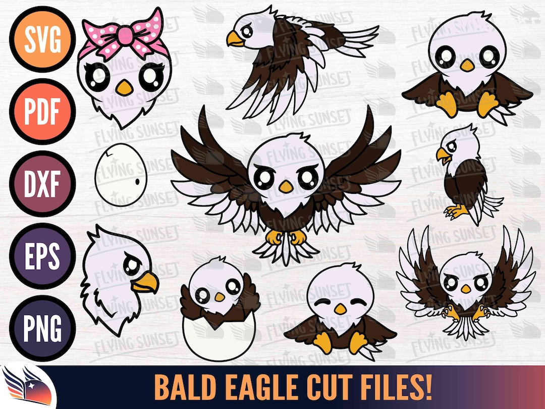 Eagle SVG Bundle Bald Eagle Clipart Cricut Cut Files Layered - Etsy ...