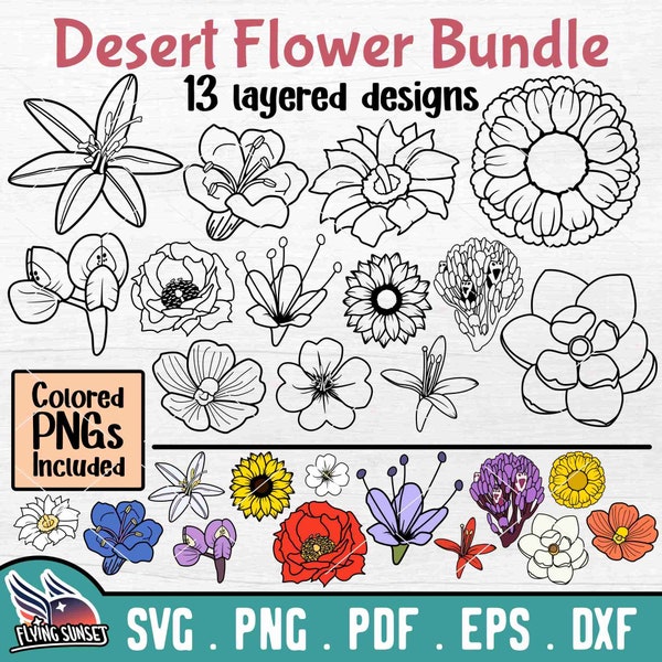 Desert Flower SVG PNG, Wildflower Outline, Arizona Flora Coloring Page, Flower Cut Files For Cricut, Southwest Plants Succulent eps pdf DXF