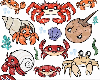 Cute Crab SVG, Hermit Crab Clipart Bundle, King Crab, Kawaii Dungeness Crab, Crustacean, Underwater Animal Cut File, Horseshoe Crab PNG