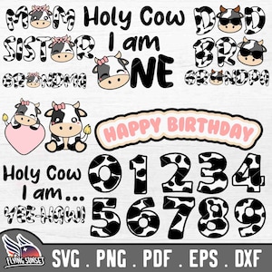 Mignon famille vache anniversaire SVG PNG, 1er anniversaire fille garçon Clipart, fichier de coupe Cricut animal de la ferme, vache sacrée que je suis un, maman papa ferme Bundle pdf DXF
