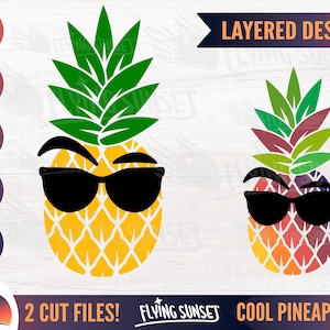 Ananas Sonnenbrille SVG, Augenbrauen heben Clipart, coole Sommer Obst Aufkleber, Cricut geschnitten Datei PNG, Strandurlaub Aufkleber, süße pdf EPS