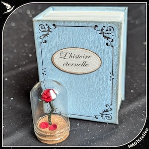 boîte livre la belle et la bête, livre miniature, rose éternelle, cadeau pour elle, cadeau Saint-Valentin