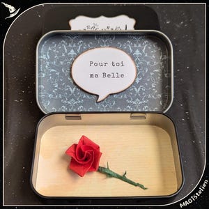 boîte à message la belle et la bête, cadeau saint-valentin, origami de la rose éternelle,  boîte diorama