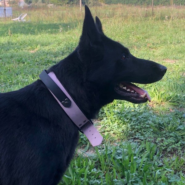 Collier pour chien en Biothane à poignée