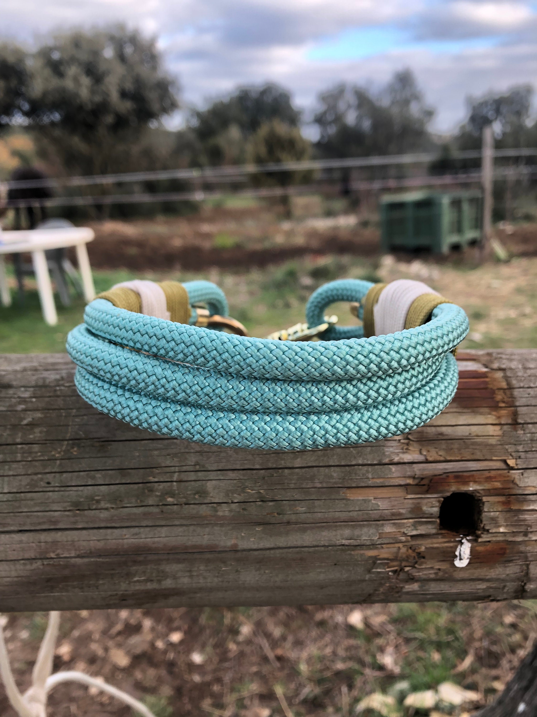 Collier Pour Chien en Paracord et Nylon Vert Mer