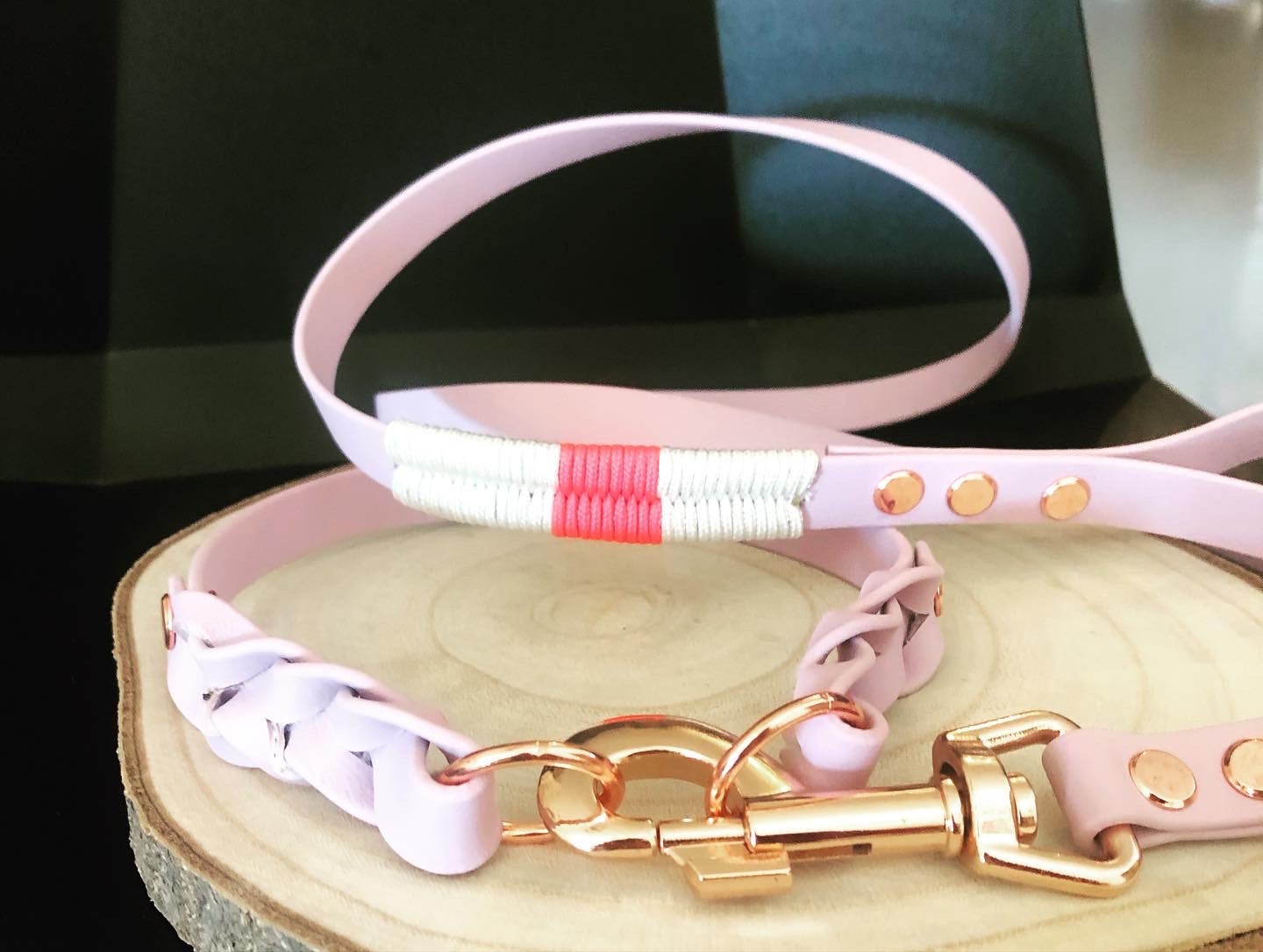 Ensemble Collier et Laisse Pour Chien