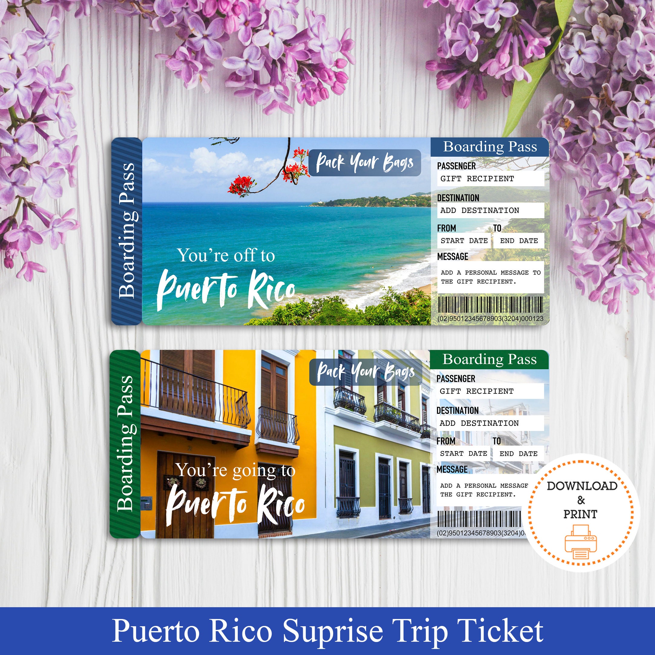 Art & Collectibles Printable Ticket PDF Instant Download Vacation
