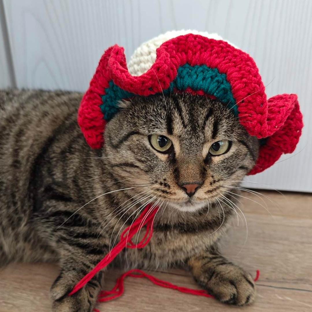 Crochet Pattern for Cat and Small Pet Hat - Ruffled Design, 5 Sizes ...