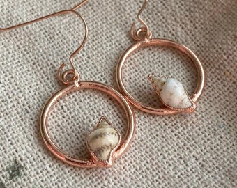 Echte Muschelohrringe | echte Muschel-Creolen | Muschel Creolen | Muschel Ohrringe | Meerjungfrau Ohrringe | Kupfer Muschel Creolen