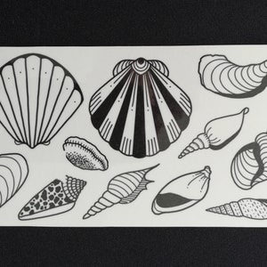 Sheet of temporary shell tattoos