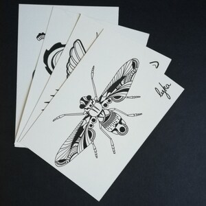 Carte postale graphique mouche