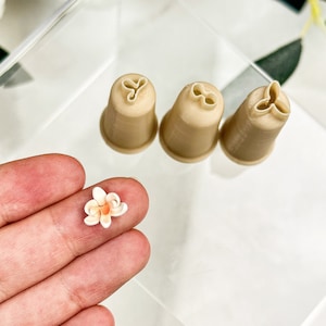 Può includere: Tre punte per decorare torte in plastica beige a forma di fiore in un contenitore di plastica trasparente. Un piccolo fiore bianco fatto con glassa è mostrato nella mano di una persona.
