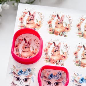 Puede incluir: Dos cortadores de galletas de plástico rosa, uno con forma de conejo con una corona de flores y el otro con forma de búho con una corona de flores. Los cortadores están sobre una superficie blanca con imágenes impresas de conejos y búhos con coronas de flores.