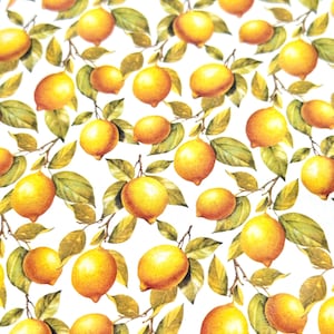 Feuille de papier transfert 498 citrons | Papier transfert d'image | Fabrication de boucles d'oreilles en argile