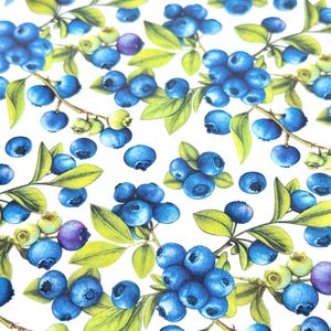 Op de afbeelding: Gedetailleerde illustratie van blauwe bessen op een witte achtergrond. De afbeelding toont trossen blauwe bosbessen met groene bladeren en stelen. Sommige bosbessen zijn dieppaars van kleur. Het kunstwerk heeft een realistische, handgetekende stijl.