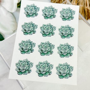 Transfer Paper Sheet 57 Single Echeveria | Water Soluble Paper Sheets | Image Transfer Paper | Clay Tools | Clay Earrings Makin